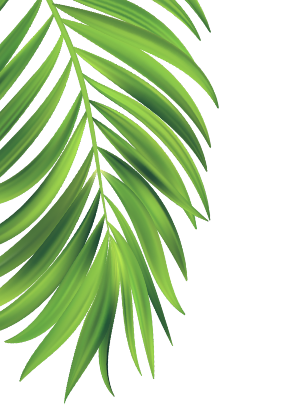 cocktail-machine-leaf