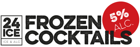 freeze the fun logo